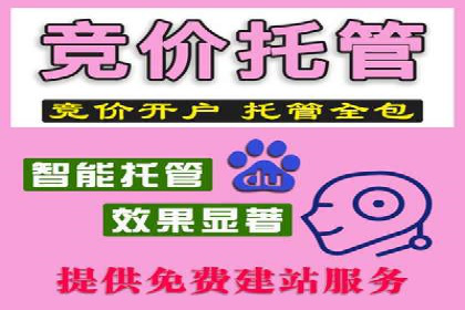 SEM托管实战：成功案例分享与经验总结